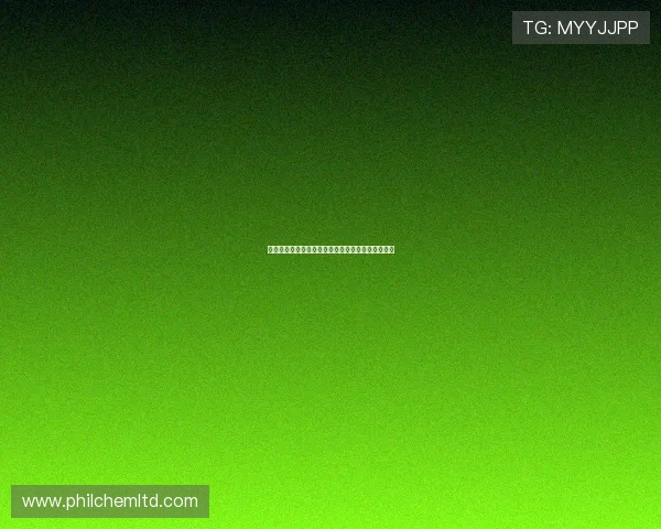 凯发娱乐网页版客服支持与常见问题解决方案全指南