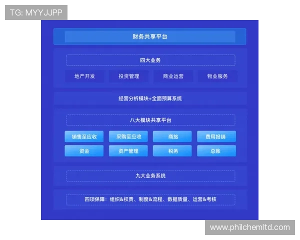 利用K8旗舰网址官方入口，享受极速登录体验和丰富的游戏内容